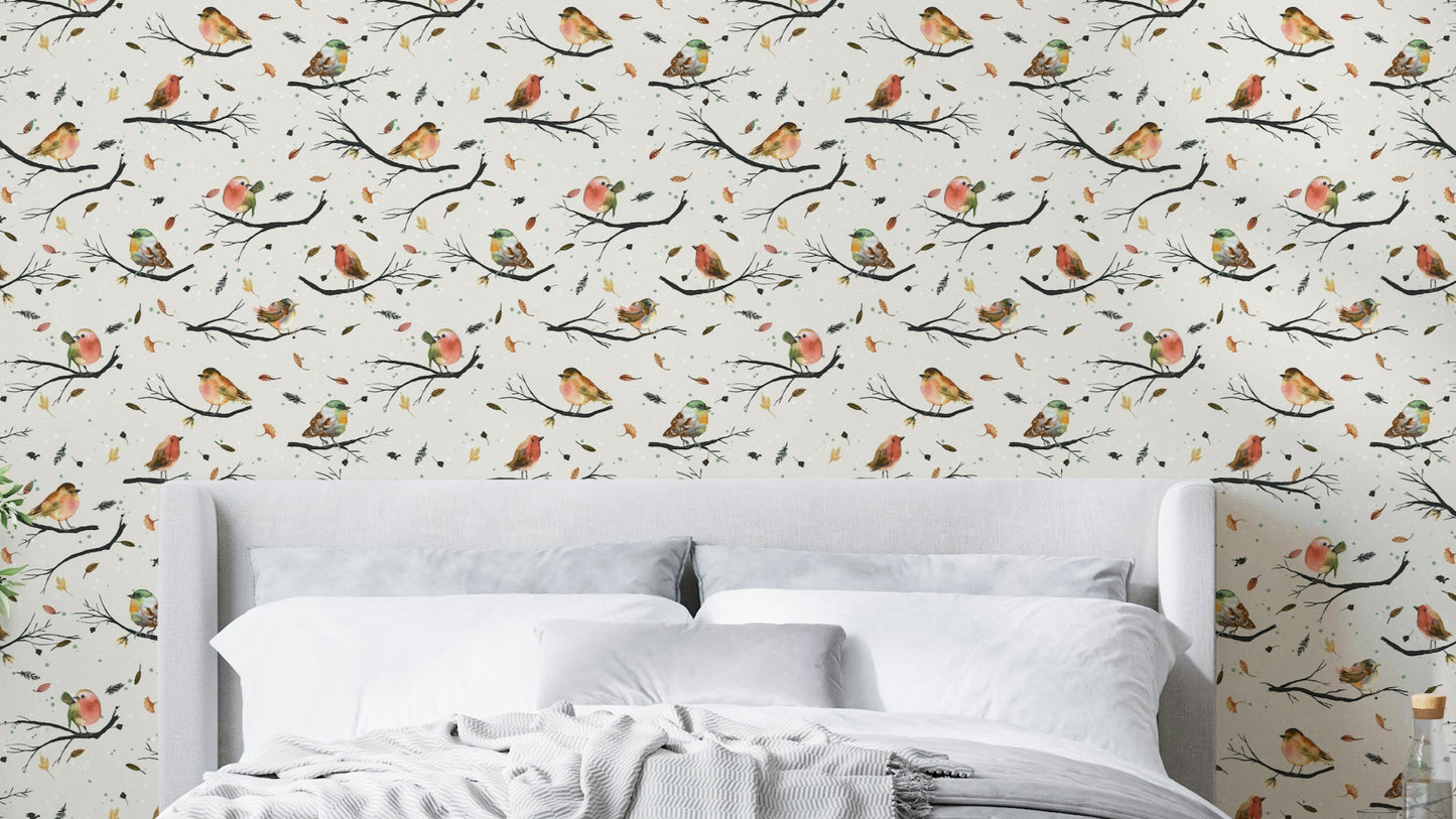 Robin red bird wallpaper on tree branches

