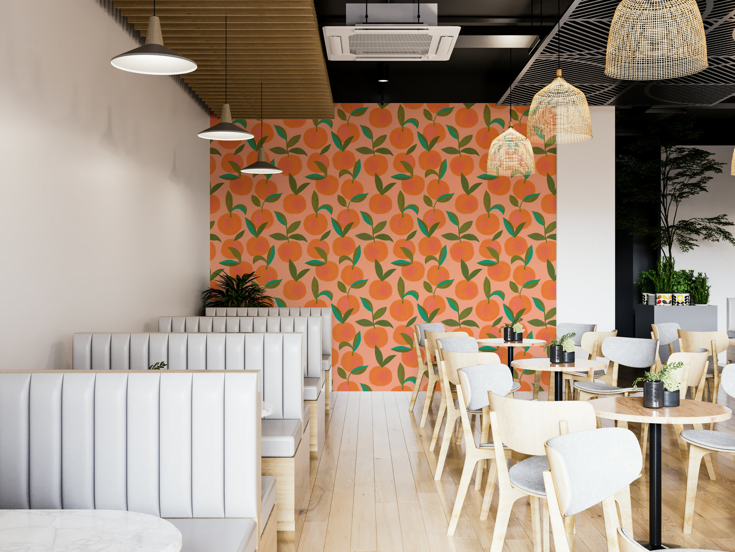 Orange Grove Wallpaper⁠