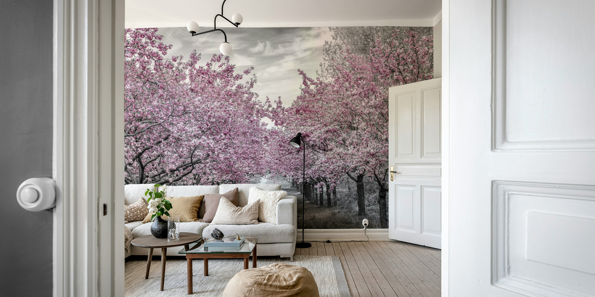 Mural wallpaper showing walkway under cherry blossoms

