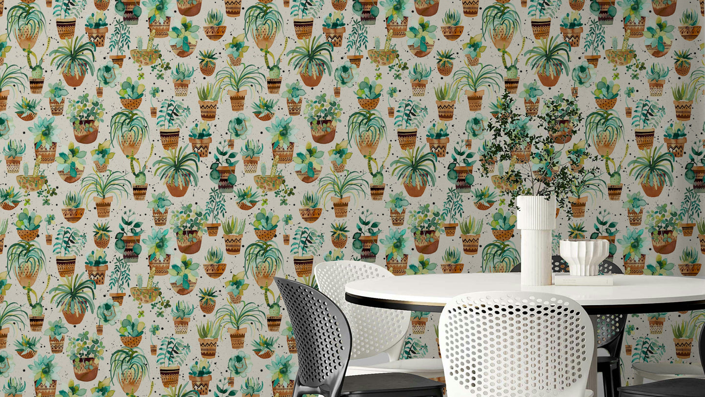 Succulent Home Pots Plants Wallpaper with lush succulents in various pots.

