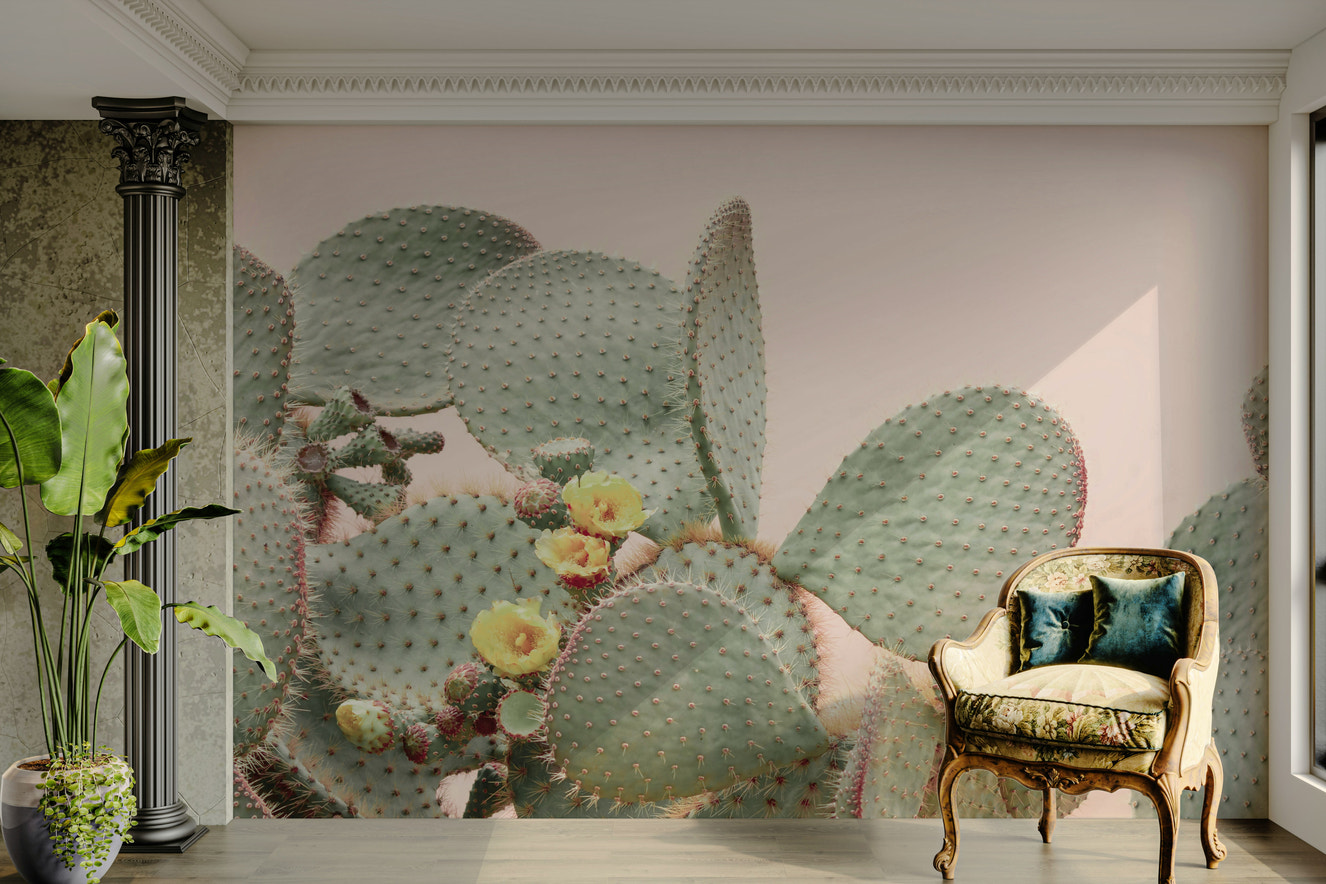 Cactus Blossom Dreams Wall Mural featuring blooming cacti.

