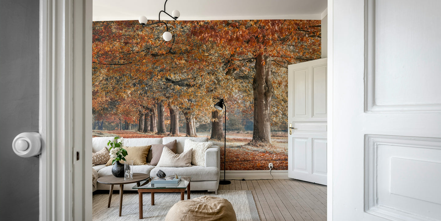 Tranquil autumn path mural bringing fall beauty indoors.

