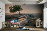Calm and peaceful wall mural with solitary tree and sunset colors.

