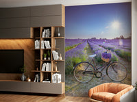 Soft sunlight over lavender field and bicycle mural for walls.

