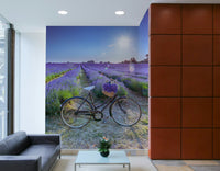 Soft pastel tones of a lavender field with a vintage bicycle mural.

