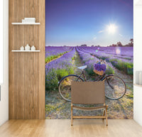Beautiful lavender field mural with a bike and sunlit sky.

