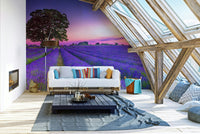 Lavender field at sunset mural wallpaper for a tranquil vibe.

