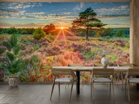 Beautiful sunset over heathland captured in a serene mural design.

