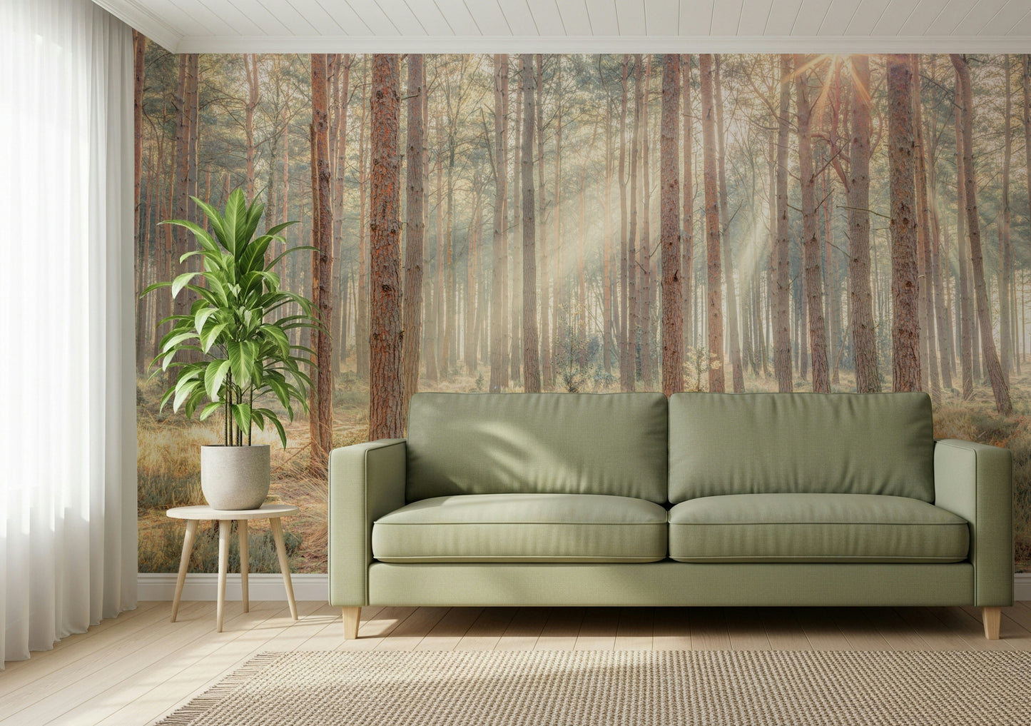 Sunrise's Kiss in the Misty Forest Wall Mural