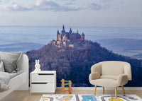 Historic German castle wallpaper with misty backdrop

