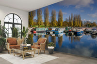 Narrowboats docked in a scenic countryside marina

