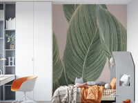 Elegant Botanical Lines wall mural for modern decor.

