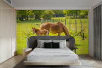 Horse with foal wall mural in green pasture

