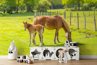 Mother and foal horse wall mural with countryside vibe

