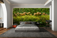 Mossy log mushrooms wall mural with natural beauty

