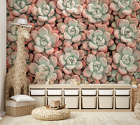 Pastel succulent pattern wallpaper design

