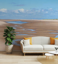 Serene sand and sky mural perfect for restful rooms.

