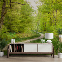 Rustic woodland trail mural

