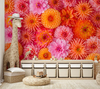 Oversized dahlia bloom mural

