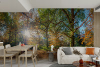Seasonal woodland wallpaper mural

