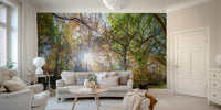 Sunlit woodland wallpaper mural

