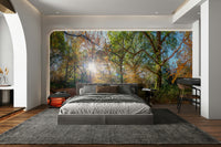 Golden tree wallpaper for walls

