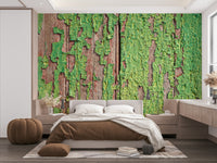 Green peeling wood wallpaper

