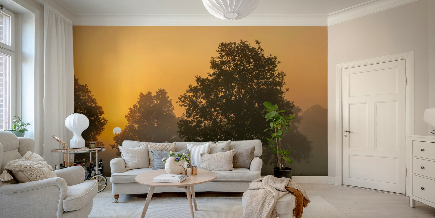 Morning light mural wallpaper

