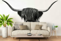 Texture detail of cow fur and horns in monochrome mural

