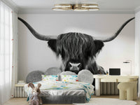 Shaggy Highland cow portrait with horns wallpaper for walls

