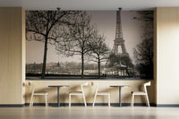 Ideal wallpaper for creating a cozy, Parisian-inspired space

