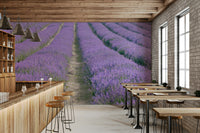Lavender field mural perfect for bedrooms or living rooms

