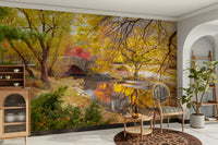 Golden and red trees capturing the beauty of fall

