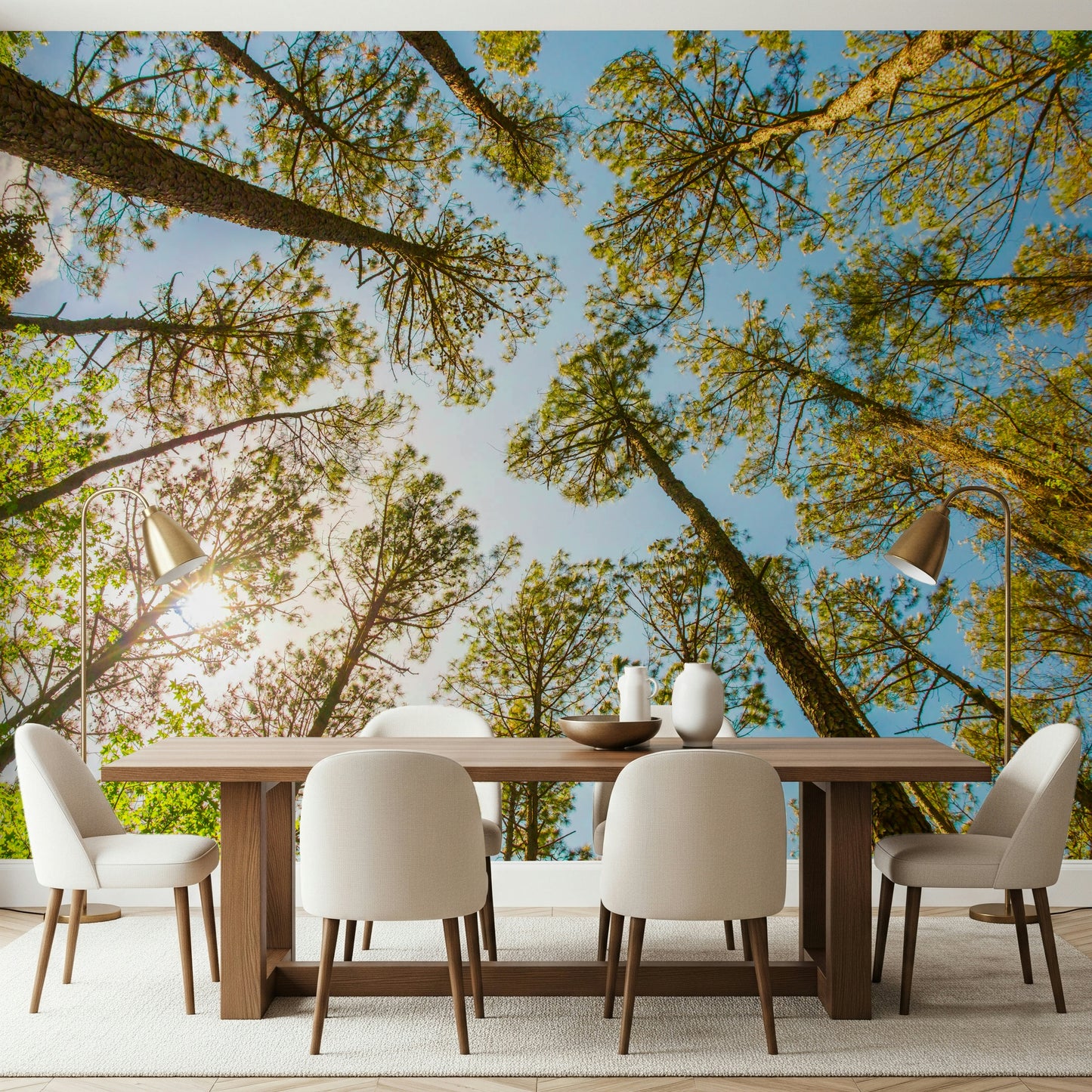 Skyward Trees Wallpaper for Walls: Nature's Beauty Wall Mural
