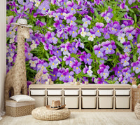 Vivid pansy bloom wallpaper for sunroom
