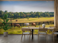 Horse pasture mural in golden daylight
