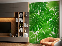 Large, detailed Monstera leaves

