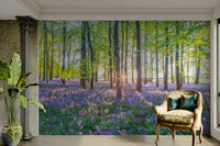 Sunlight filtering through the trees