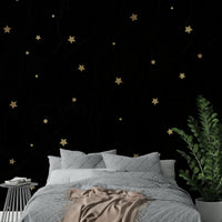 Subtle stars shining in a vast black sky mural design

