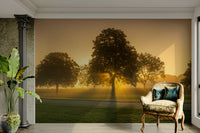 Radiant, warm wallpaper mural capturing the early morning light

