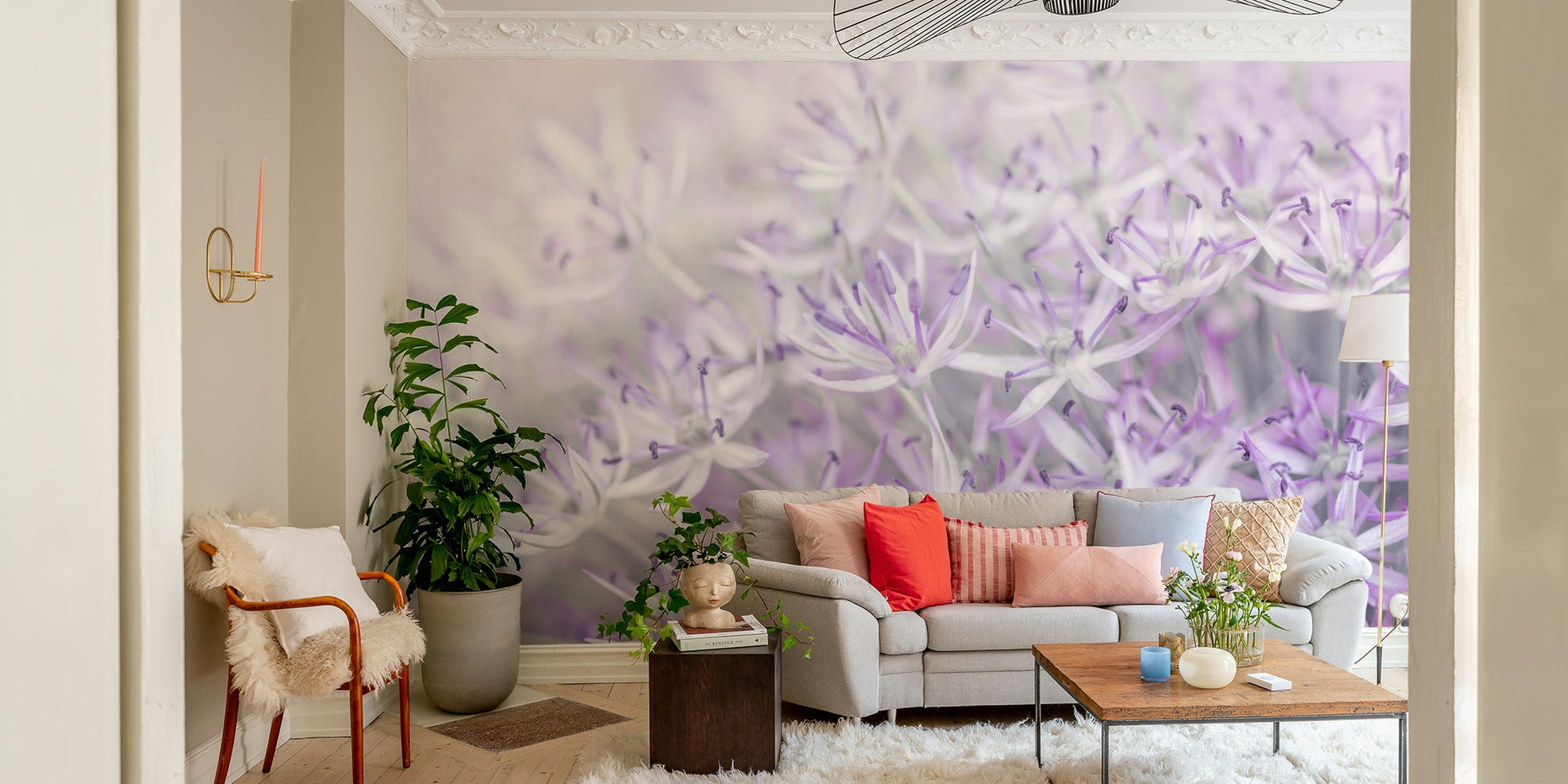 Close-up of blooming allium flowers in light purple tones

