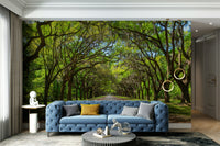 Shaded forest path wallpaper design
