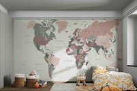 Educational blush pink map wallpaper


