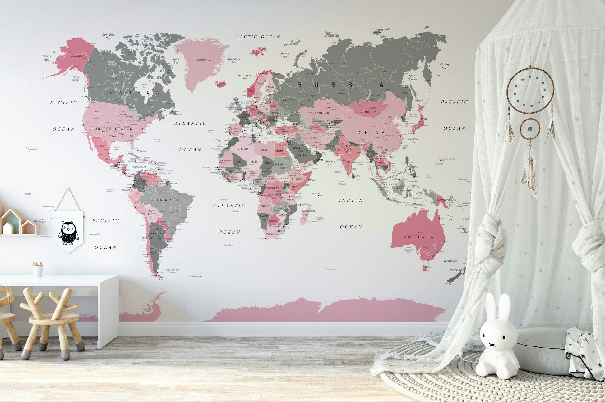 Educational wall mural map

