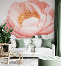 Soft coral tones create a warm, inviting atmosphere

