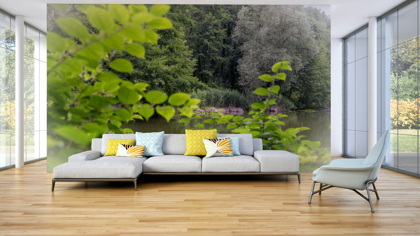 Lush green trees and plants reflected in water
