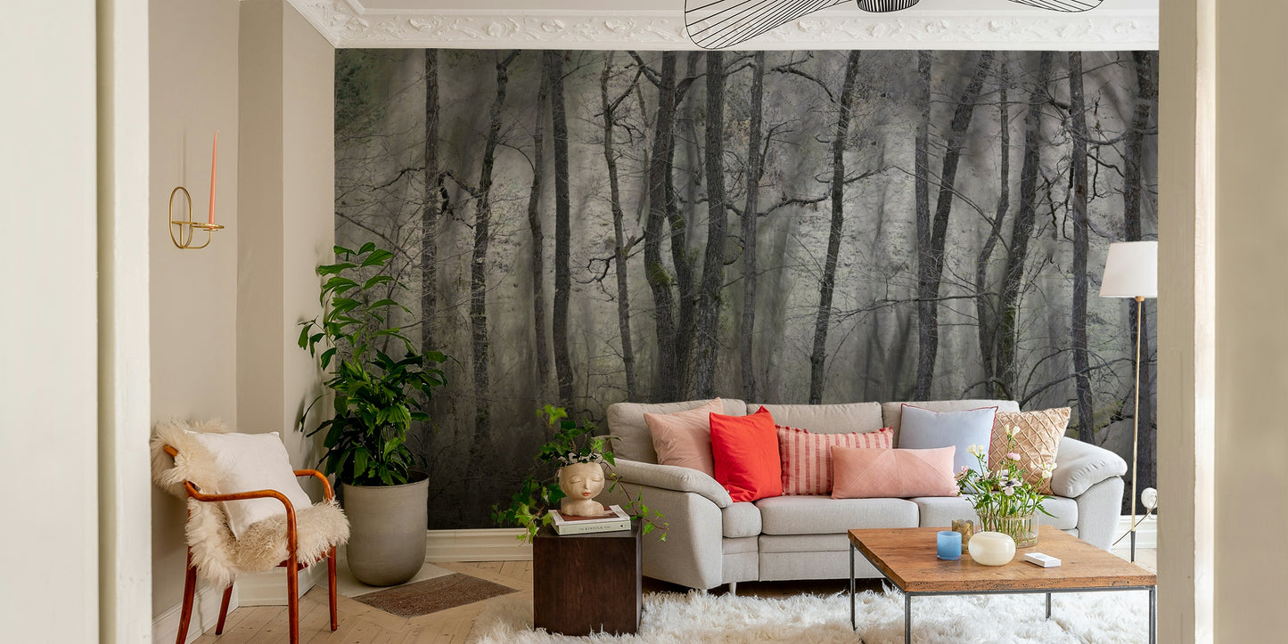 Mysterious Forest Landscape | Gray Trees in Atmospheric Stillness | Nature Photography Wall Mural