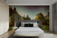 Soft sunlight filters through the tree canopy, creating a peaceful glow.

