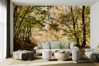 The room feels spacious and connected to nature.

