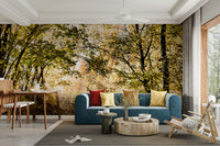 A large-scale nature photography print of a fall landscape.

